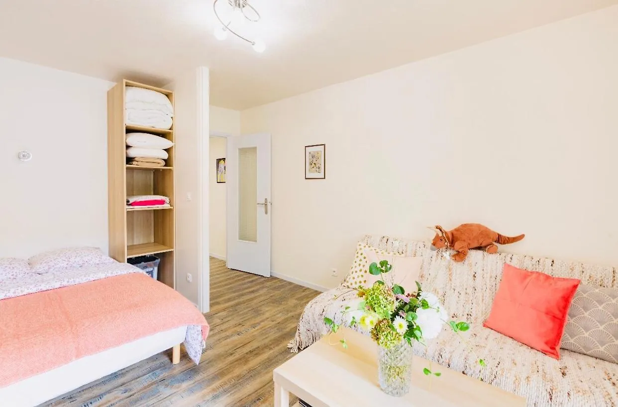 Location Petit F1 Neuf A Chatel-Guyon